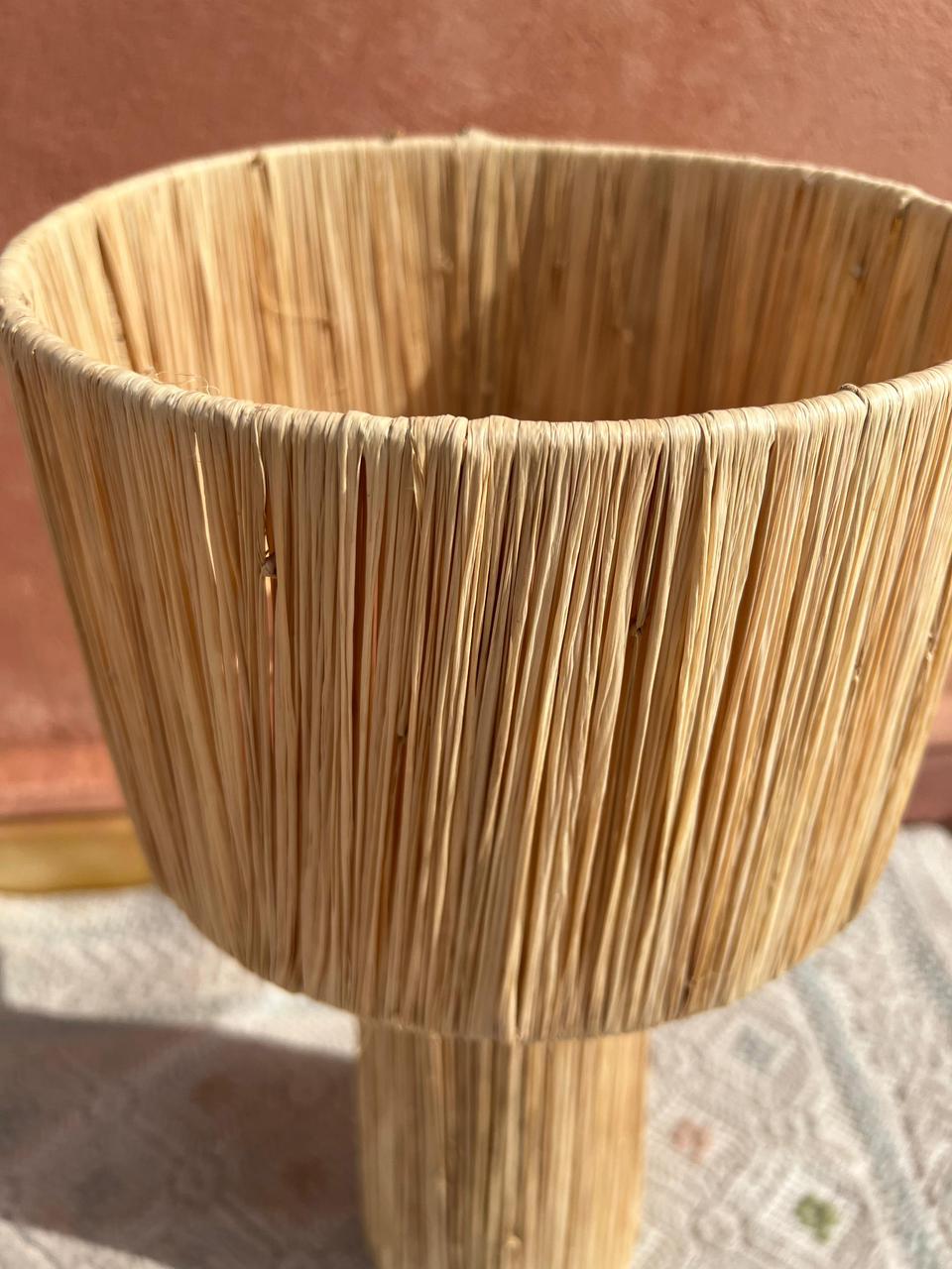 Raffia Table Lamp, Handmade Rattan Light, Boho Natural Lamp